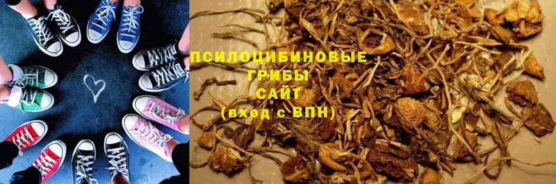 Псилоцибиновые грибы MAGIC MUSHROOMS  хочу наркоту  Болохово 